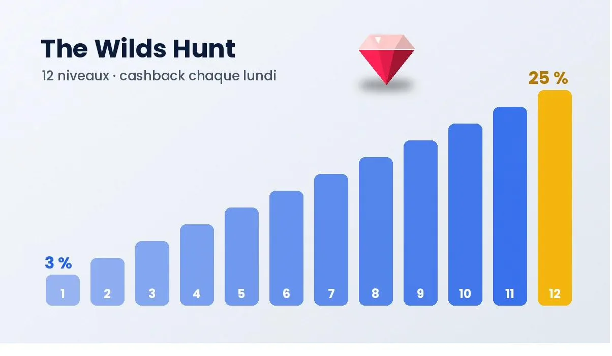 Graphique des 12 niveaux du programme The Wilds Hunt de Shiny Wilds, jusqu'à 25 % de cashback